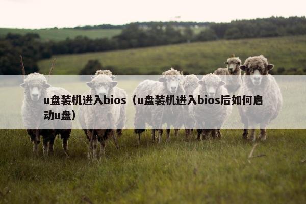 u盘装机进入bios（u盘装机进入bios后如何启动u盘）