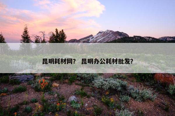 昆明耗材网？ 昆明办公耗材批发？