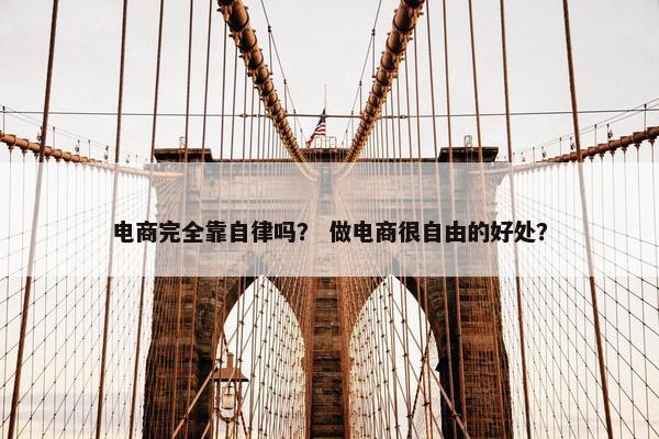 电商完全靠自律吗？ 做电商很自由的好处？