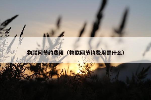 物联网节约费用（物联网节约费用是什么）