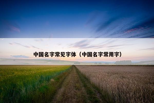 中国名字常见字体（中国名字常用字）