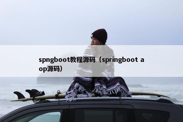 spngboot教程源码（springboot aop源码）