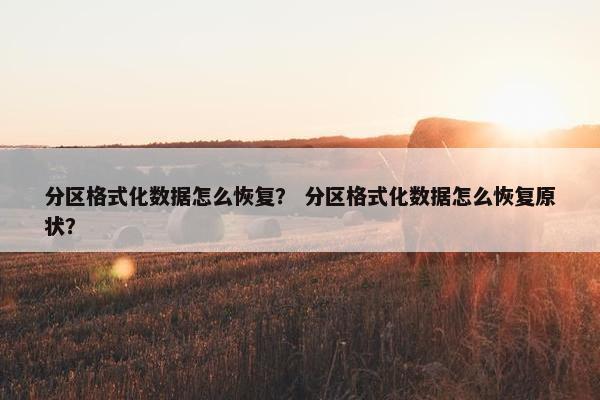 分区格式化数据怎么恢复？ 分区格式化数据怎么恢复原状？