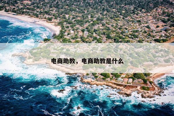 电商助教，电商助教是什么