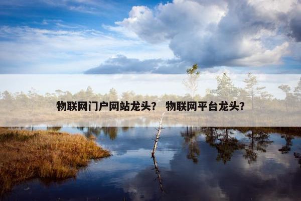 物联网门户网站龙头？ 物联网平台龙头？