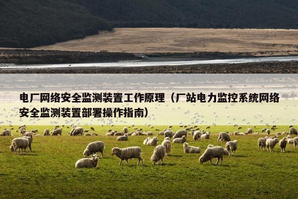 电厂网络安全监测装置工作原理（厂站电力监控系统网络安全监测装置部署操作指南）