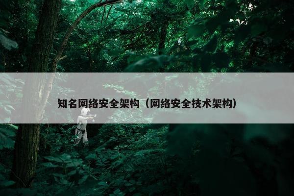 知名网络安全架构（网络安全技术架构）