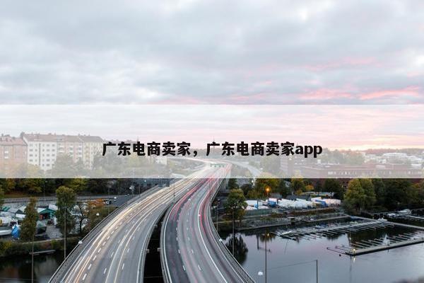 广东电商卖家，广东电商卖家app