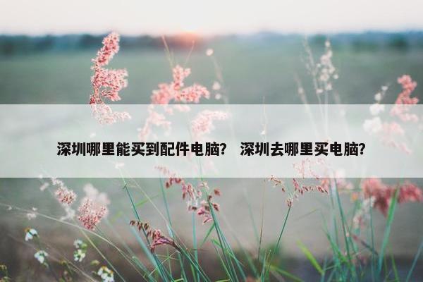 深圳哪里能买到配件电脑？ 深圳去哪里买电脑？