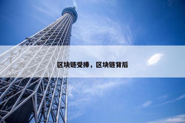区块链受捧，区块链背后