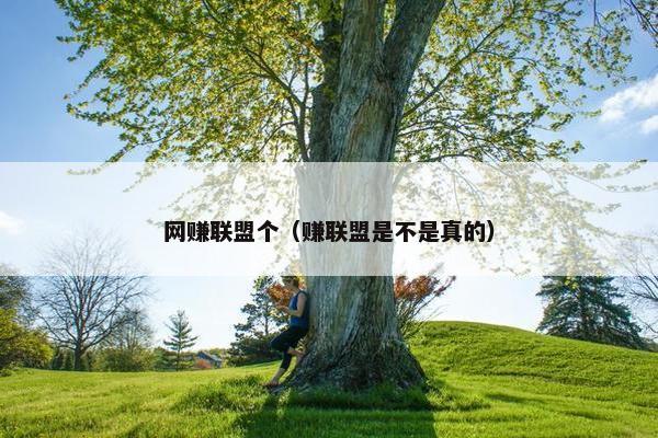 网赚联盟个（赚联盟是不是真的）