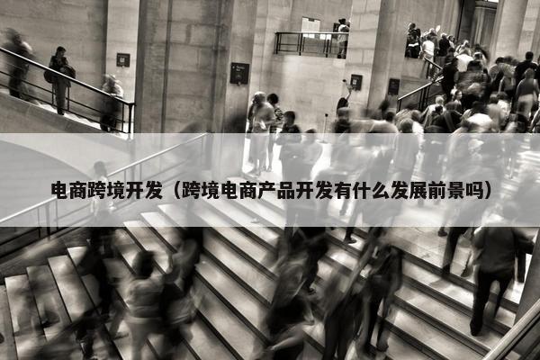 电商跨境开发（跨境电商产品开发有什么发展前景吗）