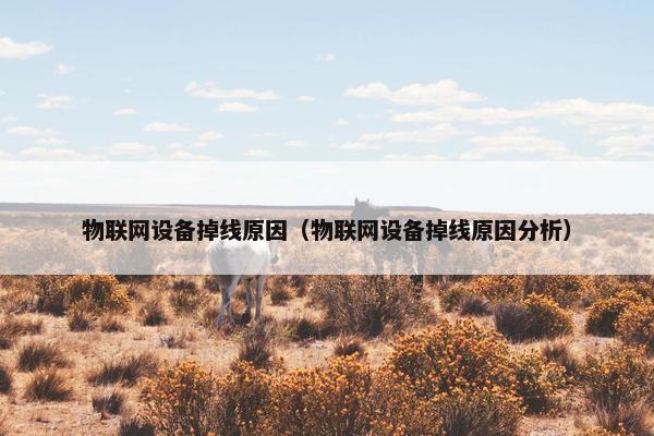 物联网设备掉线原因（物联网设备掉线原因分析）