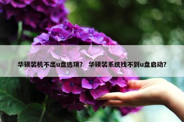 华硕装机不出u盘选项？ 华硕装系统找不到u盘启动？