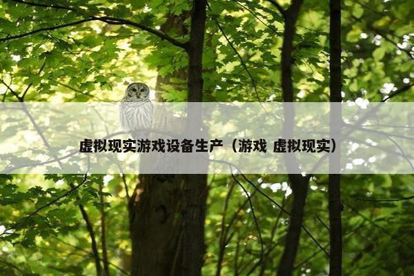 虚拟现实游戏设备生产（游戏 虚拟现实）