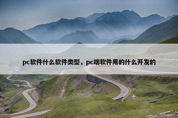 pc软件什么软件类型，pc端软件用的什么开发的