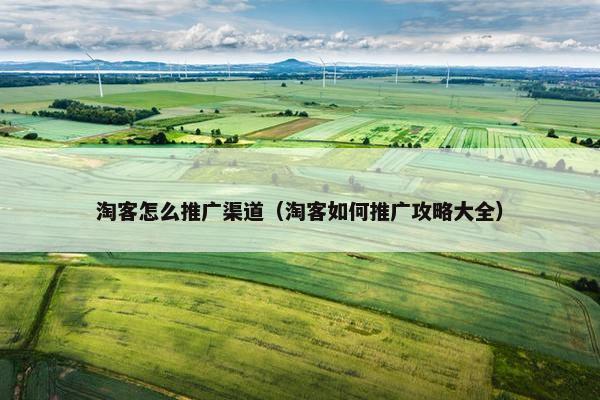 淘客怎么推广渠道（淘客如何推广攻略大全）