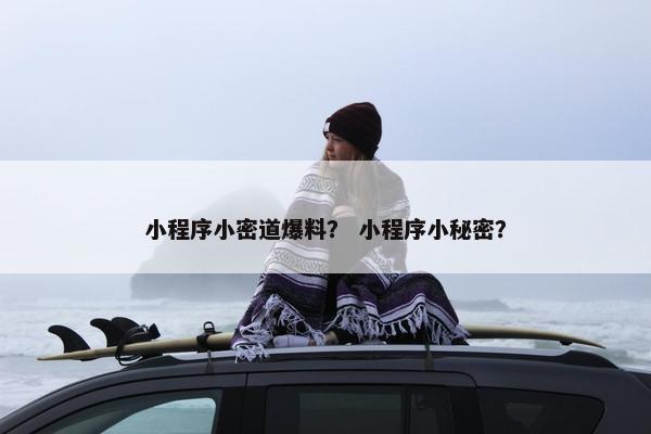 小程序小密道爆料？ 小程序小秘密？
