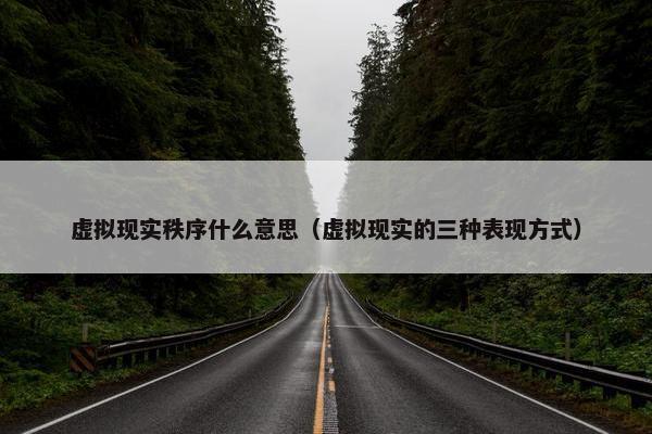 虚拟现实秩序什么意思（虚拟现实的三种表现方式）
