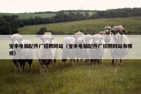 宝丰电脑配件厂招聘网站（宝丰电脑配件厂招聘网站有哪些）