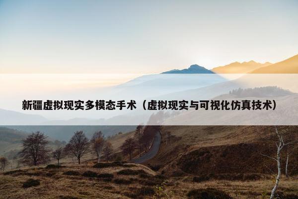 新疆虚拟现实多模态手术（虚拟现实与可视化仿真技术）