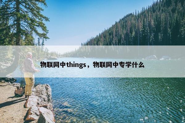 物联网中things，物联网中专学什么