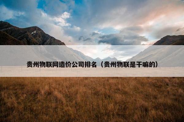 贵州物联网造价公司排名（贵州物联是干嘛的）