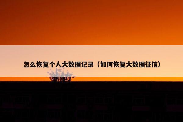 怎么恢复个人大数据记录（如何恢复大数据征信）