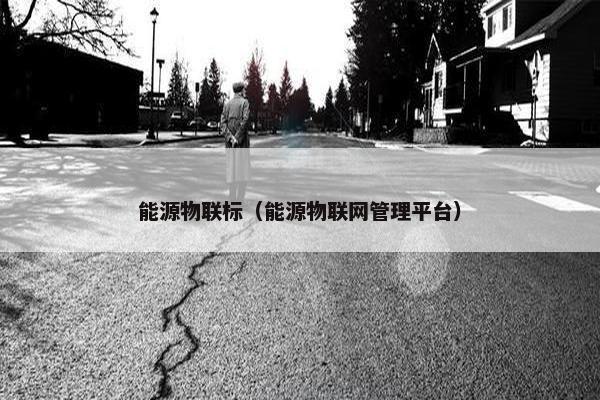 能源物联标（能源物联网管理平台）