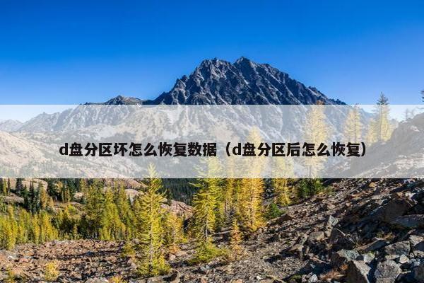 d盘分区坏怎么恢复数据（d盘分区后怎么恢复）