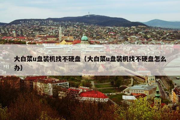 大白菜u盘装机找不硬盘（大白菜u盘装机找不硬盘怎么办）