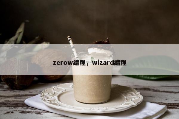zerow编程，wizard编程