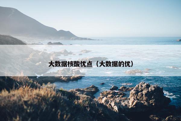大数据核酸优点（大数据的优）