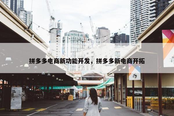 拼多多电商新功能开发，拼多多新电商开拓