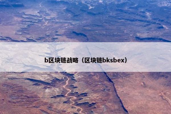 b区块链战略（区块链bksbex）