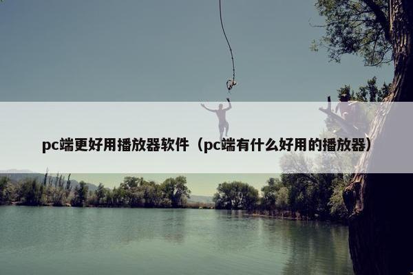 pc端更好用播放器软件（pc端有什么好用的播放器）