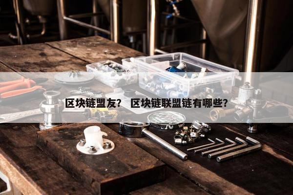 区块链盟友？ 区块链联盟链有哪些？