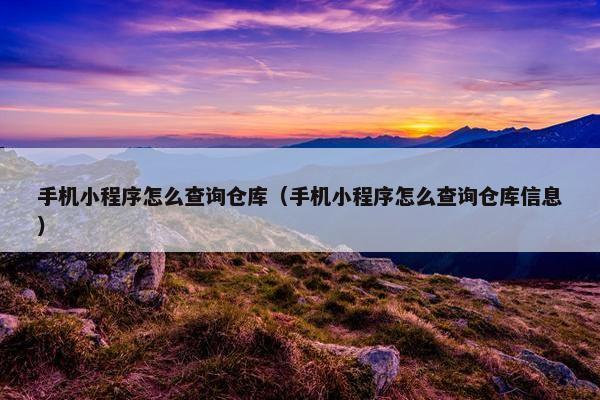 手机小程序怎么查询仓库（手机小程序怎么查询仓库信息）