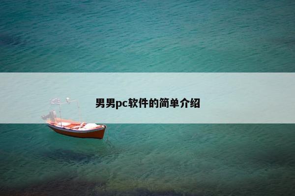 男男pc软件的简单介绍