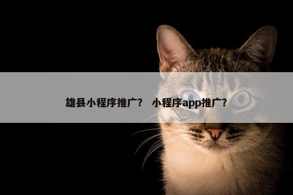 雄县小程序推广？ 小程序app推广？