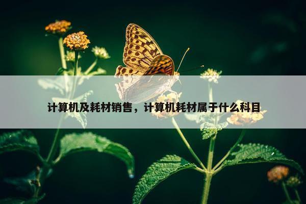 计算机及耗材销售，计算机耗材属于什么科目