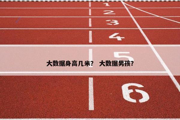 大数据身高几米？ 大数据男孩？