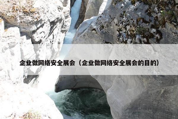 企业做网络安全展会（企业做网络安全展会的目的）