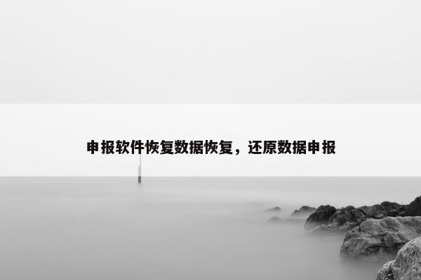 申报软件恢复数据恢复，还原数据申报