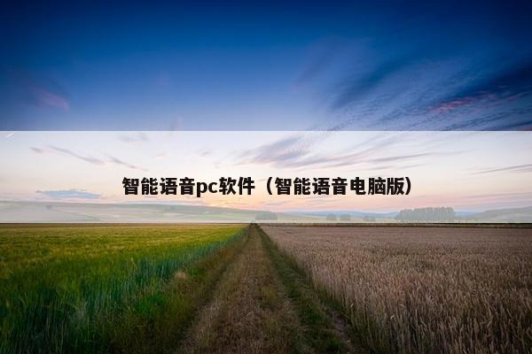 智能语音pc软件（智能语音电脑版）