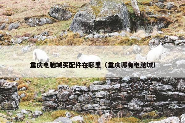 重庆电脑城买配件在哪里（重庆哪有电脑城）