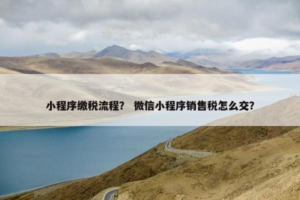 小程序缴税流程？ 微信小程序销售税怎么交？