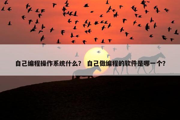 自己编程操作系统什么？ 自己做编程的软件是哪一个？