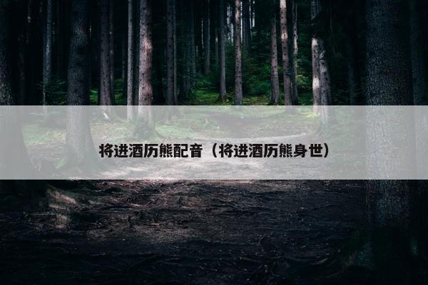 将进酒历熊配音（将进酒历熊身世）