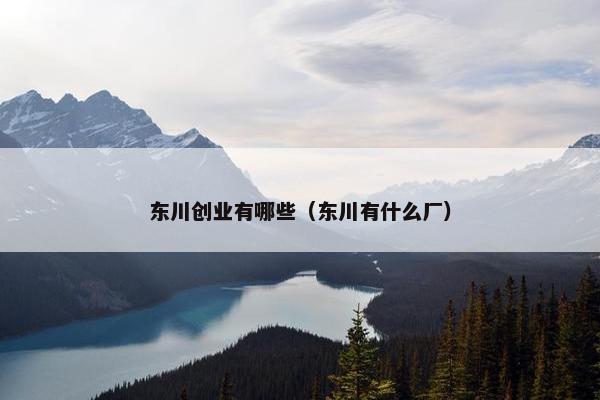 东川创业有哪些（东川有什么厂）